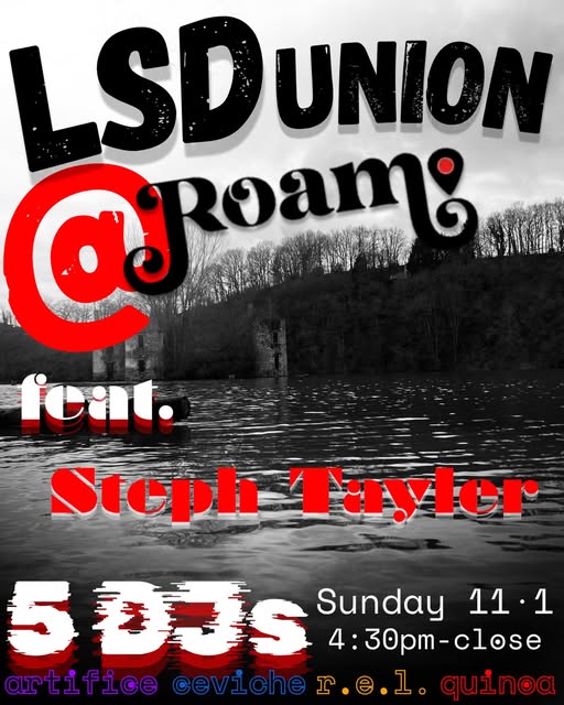 Flyer for LSD UNION at The Union